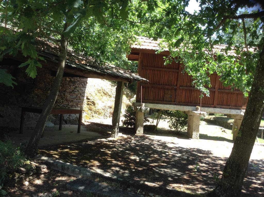 Saberamar Little Country Villa Arouca Eksteriør billede