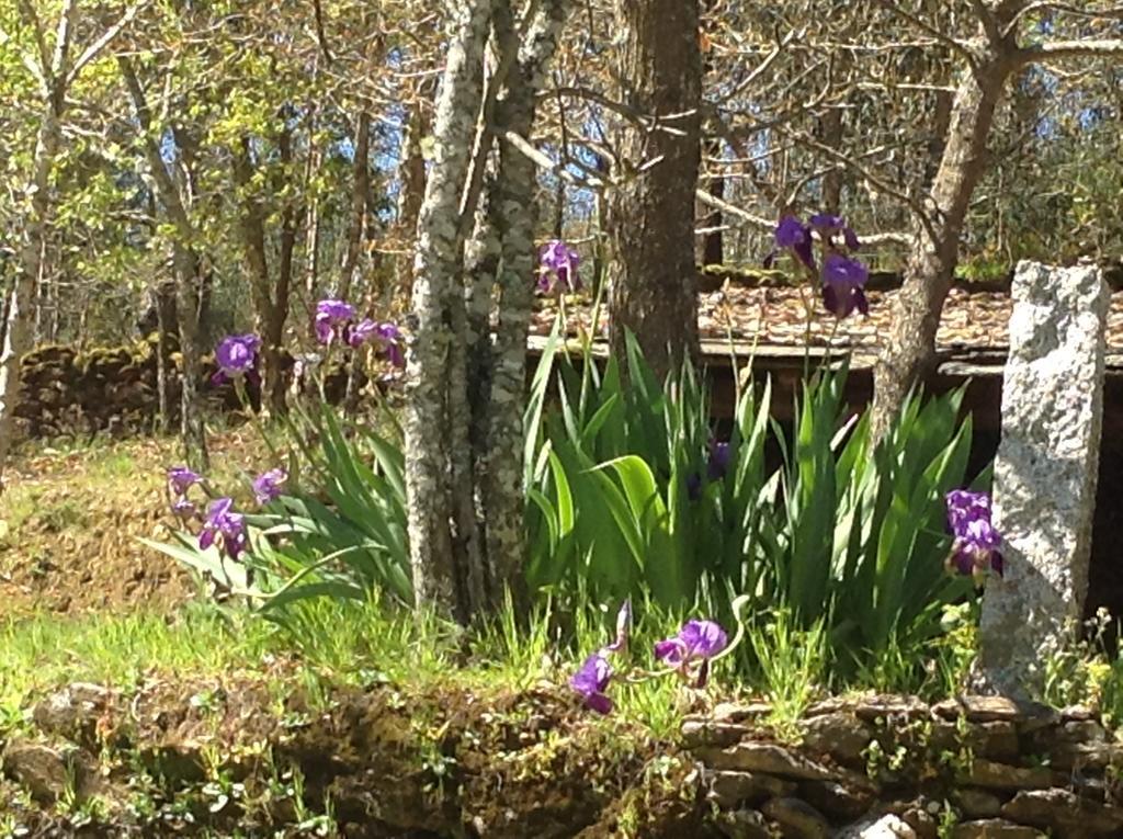 Saberamar Little Country Villa Arouca Eksteriør billede