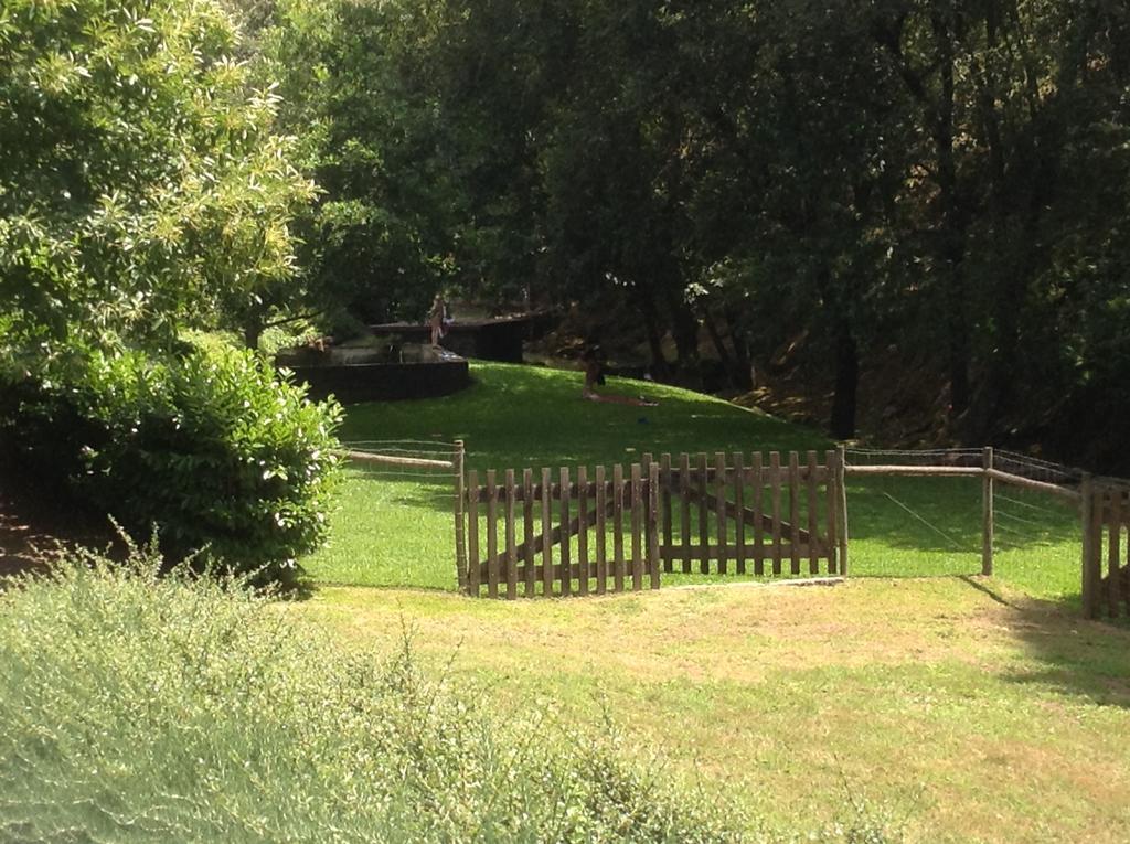 Saberamar Little Country Villa Arouca Eksteriør billede
