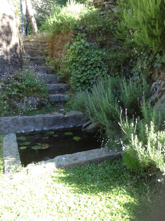 Saberamar Little Country Villa Arouca Eksteriør billede